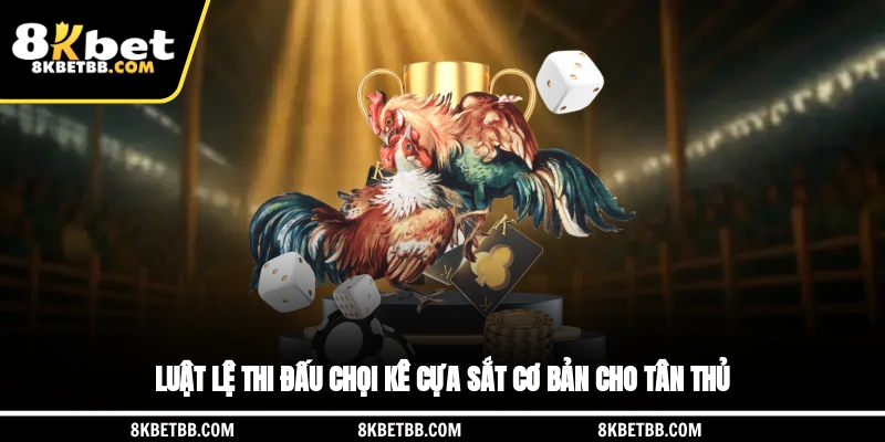 Luật lệ thi đấu chọi kê cựa sắt cơ bản cho tân thủ