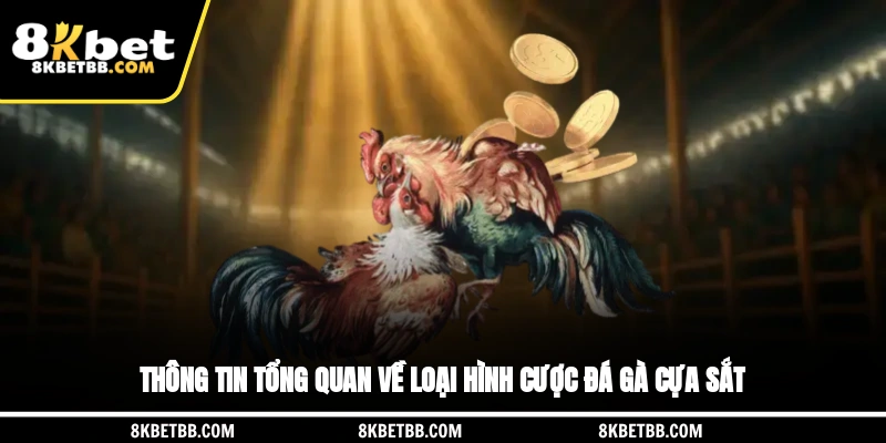 Thông tin tổng quan về loại hình cược đá gà cựa sắt