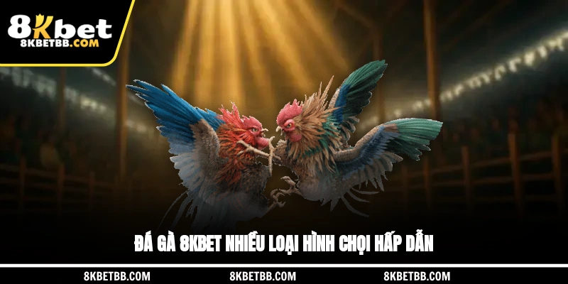 Đá gà 8KBET nhiều loại hình chọi hấp dẫn